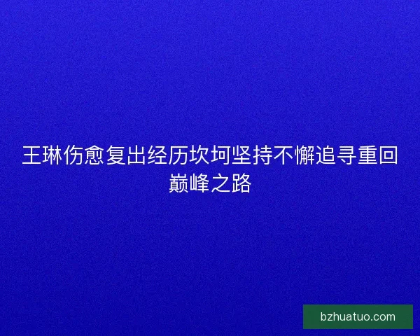 王琳伤愈复出经历坎坷坚持不懈追寻重回巅峰之路